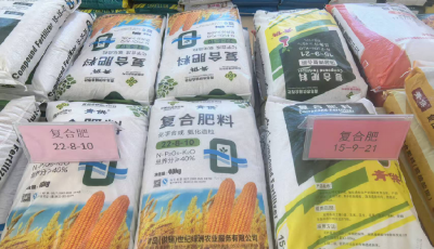 阴雨不误秋收忙  青岛供销织密“三秋”保障网
