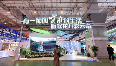 聚焦版博会｜云南展区精彩亮相第十届中国国际版权博览会