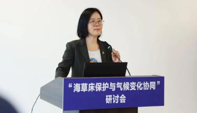 共繪海洋生態(tài)保護(hù)新藍(lán)圖 青島舉辦“海草床保護(hù)與氣候變化協(xié)同”研討會 共繪海洋生態(tài)保護(hù)新藍(lán)圖 青島舉辦“海草床保護(hù)與氣候變化協(xié)同”研討會