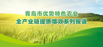 农业强龙头|鲁林:脱水菜赛道三十载坚守 以“质”“智”破局筑全球版图