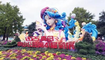 赏菊正当时！青岛中山公园第41届菊展启幕，持续至11月中旬