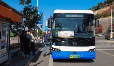 城阳巴士918路“太和山赏红枫”主题公交上线