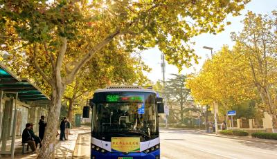 打造“秋主題”車廂 青島“移動秋景房”邀市民邂逅詩意深秋