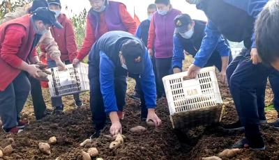 青岛市社会福利院开展节气主题社会融合活动