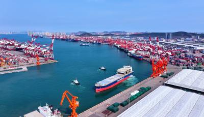 同比增長17%！山東港口青島港紙漿吞吐量再創(chuàng)新高