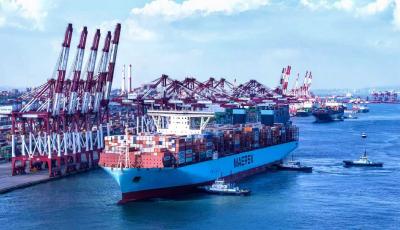 山東港口青島港：以客戶為中心，全力提效率、優(yōu)服務(wù)、保暢通