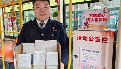 续写与海鸥的冬日之约 青岛公交6路“赏鸥专线”再启程