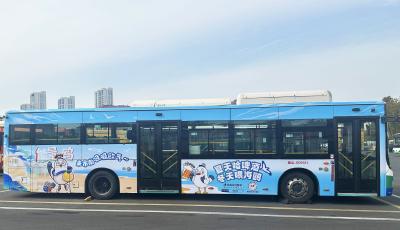  青岛“海鸥巴士”暖心上线 开启冬日海岸浪漫之旅