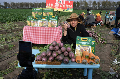 “冰激凌”萝卜迎来丰收 青岛市即墨区“网红”书记直播助农增收