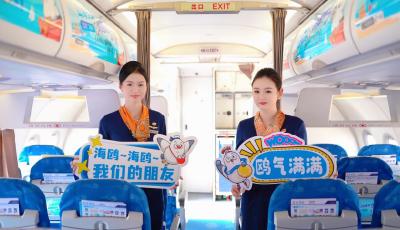 “上天入海”全场景联动！2025青岛海鸥季启幕，市南邀您赴浪漫鸥遇之约