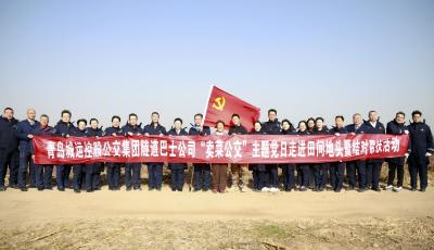 從田間到餐桌的溫暖旅程 青島賣菜公交“穿隧跨?！痹俪霭l(fā)