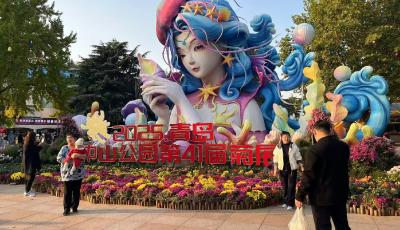 从菊展到农文旅，青岛“菊经济”生态正当时