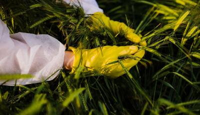 斬斷田間竊密黑手！