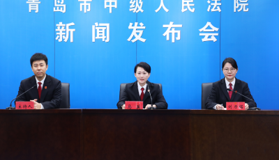 青島中院發(fā)布行政案件司法審查報告