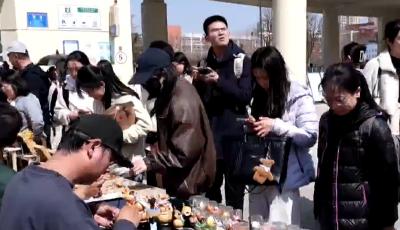 惠及考生16萬人次！ 青島以“旅考”體驗提升城市吸引力