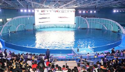 “當(dāng)好奇心遇見海洋”——青島極地?cái)y手中國海洋大學(xué)開啟沉浸式海洋科普課堂