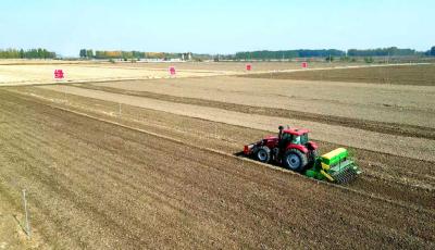 青岛上下联动科学应对扎实有序推进“三秋”农业生产