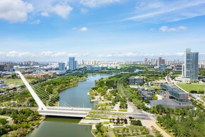 青岛高新区：梯度培育激活企业创新“强引擎”