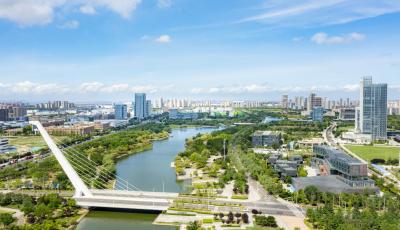 青島高新區：梯度培育激活企業創新“強引擎”