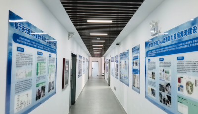 “国字号”新平台落户青岛！胶东半岛海洋监测基地获批