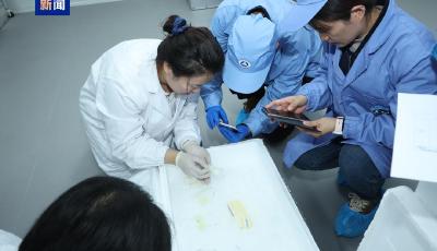 中国空间站第九批实验样品返回并交付科学家