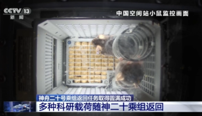 四只航天鼠完成任务回地球啦！最新进展→