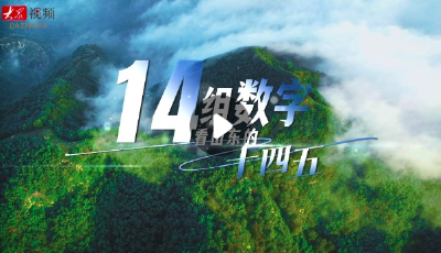 14组数字看山东加快推进能源绿色低碳发展的“十四五” 