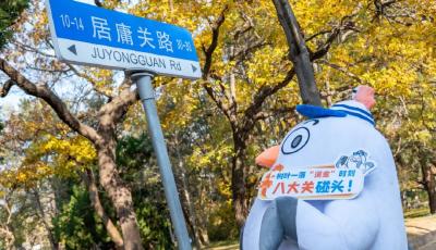 青岛“鸥啦”IP全城巡游掀热潮 