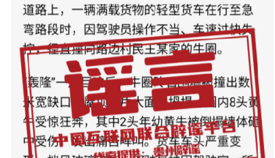 今日辟谣（2025年11月17日）丨多人因编造谣言被处罚