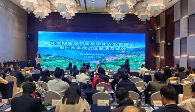 3700萬元投入換來6.34億元保障 青島“五方聯(lián)動(dòng)”激活花生產(chǎn)業(yè)