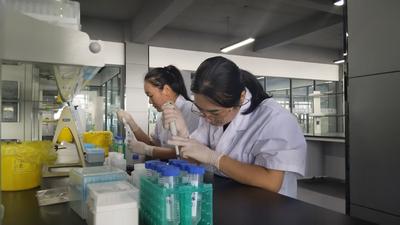 高新之光丨0.3秒识别、1小时出多项结果！汉唐生物攻关高通量检测设备 