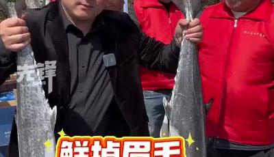 青島人等了一年的魚它來(lái)啦