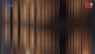 宋蕾：做中国电影文化的守护人