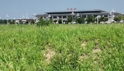 带着渐冻症丈夫跑网约车 从青春到中年 他们的爱从未 “渐冻”.mp4