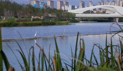 青島治水經(jīng)驗(yàn)走向全國 “三水統(tǒng)籌”為城市系上“綠腰帶”“金腰帶”