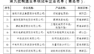 青岛新增7家国家级制造业单项冠军