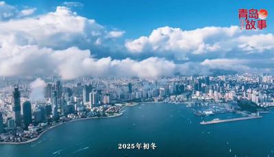 飞越两千公里 只为赴这场山海之约 跟着小海鸥翻山越海 解开“鸥遇青岛”三十年的秘密