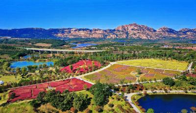 青岛一片区建设入选全国乡村振兴实践案例