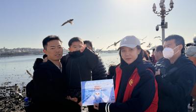 打造“賞鷗主題車廂” 青島公交志愿者化身“護鷗使者”