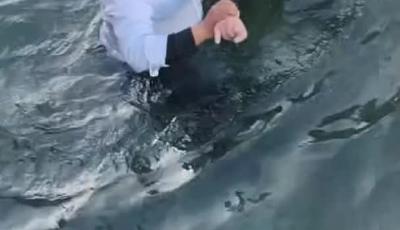 深冬海水里，四双手托起一条生命，这就是青岛人的“条件反射”