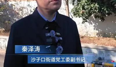 “片区化推进乡村振兴的山东实践” ，山海赋能，片区联动！流清湾绘就乡村共富新图景