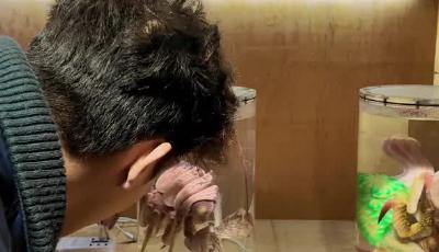 你知道一部电影是如何诞生的吗？在青岛东方影都，我触碰到了电影工业的“造梦心脏”