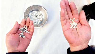 青島西海岸新區首批“珍珠”獲豐收 填補區域珍珠養殖產業空白