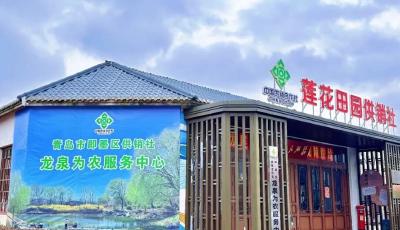 即墨区供销社龙泉为农服务中心启用 一站式服务赋能乡村振兴