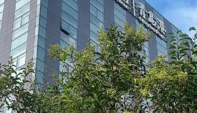 码头“最强大脑 ”刘耀徽：传承工匠精神 创新引领未来#青岛故事#青岛港#全国首个全国产全自主自动化码头#全球首个"云原生+"集装箱码头智能管控系统