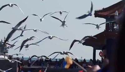 在岛城降温的初秋里，乘上一趟温暖列车……从张杰青岛演唱会看青岛的票根经济