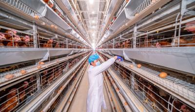 青岛市都市现代农业入选全国典型案例