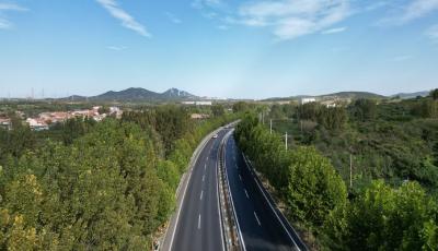 达到国际领先水平！青岛公路研究成果获中国公路学会科技进步二等奖