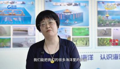 从“卡脖子”到“筑长城”！青岛造海洋装备硬核崛起