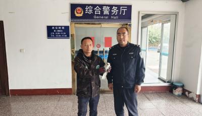 青島城陽(yáng)警民攜手救助受傷黑翅鳶